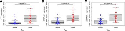 A prognostic signature of pyroptosis-related lncRNAs verified in gastric cancer samples to predict the immunotherapy and chemotherapy drug sensitivity